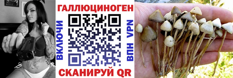 Псилоцибиновые грибы прущие грибы  Дно 